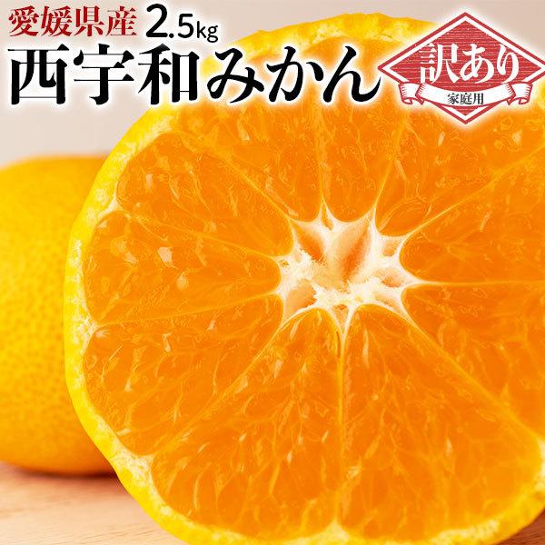 みかん 3kg 訳あり 愛媛 西宇和みかん 西宇和限定  S〜Lサイズ混合 お取り寄せ 果物 フルーツ ミカン 自宅用 家庭用  愛媛県 西宇和産 限定 送料無料