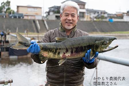 新潟産コシヒカリ「伝」白米真空パック 精米10kg（5kg×2）南麻布の高級料亭で提供される極上米 かやもり農園 コシヒカリ 新潟県産コシヒカリ 米 お米