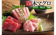 沖縄県産 天然本マグロセット 約1kg 赤身約400g  中トロ約300g  大トロ約300g )｜マグロ 刺身 セット