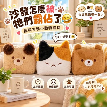 台灣出貨 可愛小動物毛絨抱枕 方塊狗狗三花貓小熊靠枕 軟萌沙發靠墊 臥室床頭抱枕 居家療癒擺飾 生日禮物 朋友交換禮物