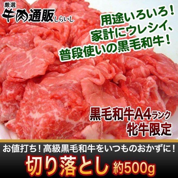 佐賀牛、宮崎牛　黒毛和牛の切り落とし　500g