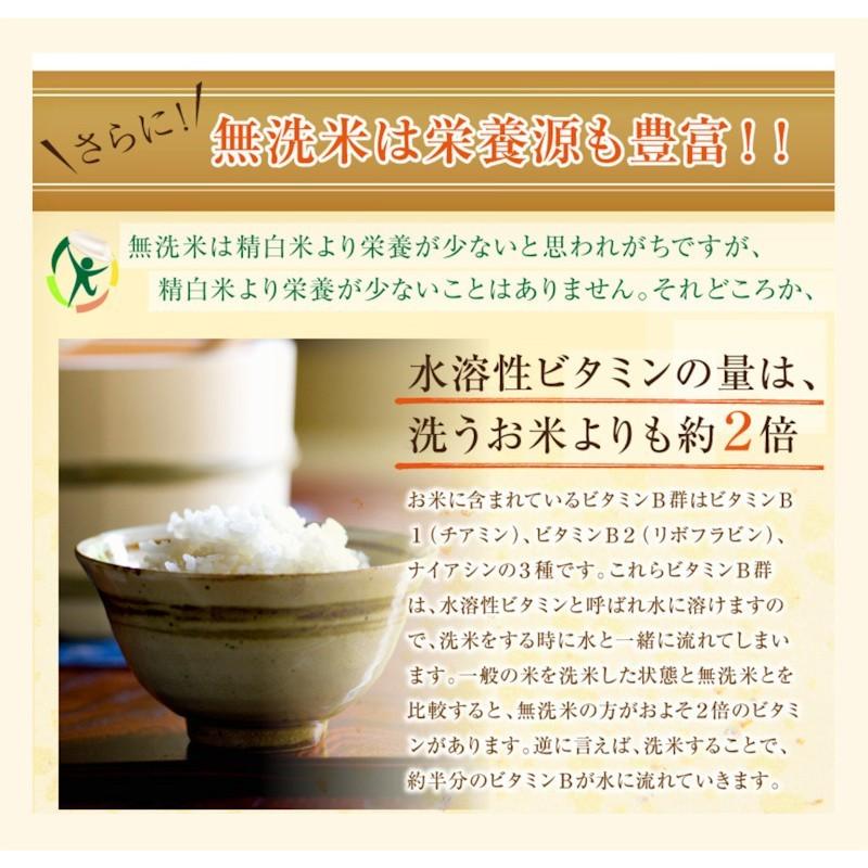 令和５年産 新米 無洗米 5kｇ コシヒカリ 特Ａ地区 魚沼産 新潟県 南魚沼 JAみなみ魚沼農協 天地無洗米 真空パック包装 送料無料