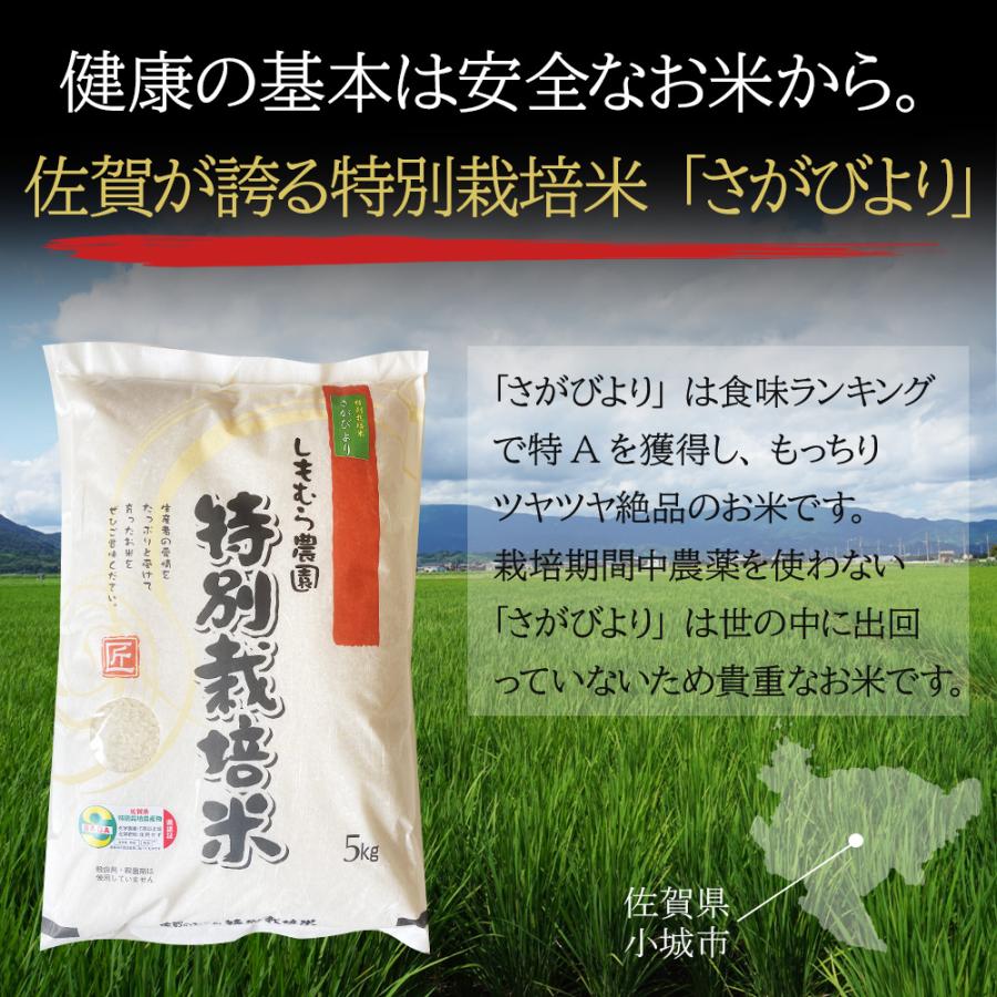 1000円 令和5年産 ポッキリ特別栽培米「ヒノヒカリ・さがびより」 食べ比べ セット 各2合 佐賀県産米 減農薬 お米 米 しもむら農園 ぽっきり ポイント消費