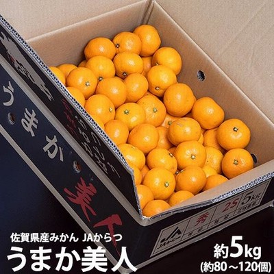 JAからつ 『うまか美人』 佐賀県産 みかん 約2.5kg×2箱