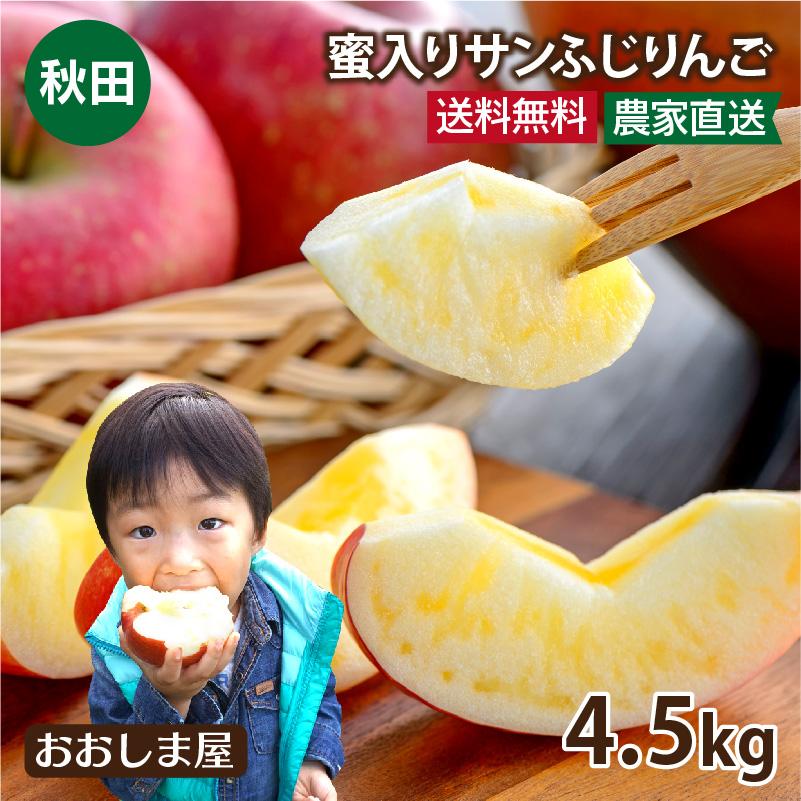 秋田 蜜入りサンふじりんご 送料無料 4.5kg 大小混合（12玉-20玉前後）＜12月上旬より順次出荷＞ 大嶌屋（おおしまや）