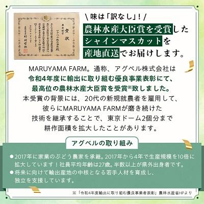 ふるさと納税 山梨市 シャインマスカット2房1kg〜1.5kg　2024年8月下旬より順次出荷予定