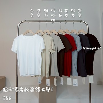 【太妮絲T55】現貨 土色系 奶茶色 超耐看 韓國 柔軟 大學T 百搭 素T 閨蜜 圓領 學生 短袖上衣 棉質上衣