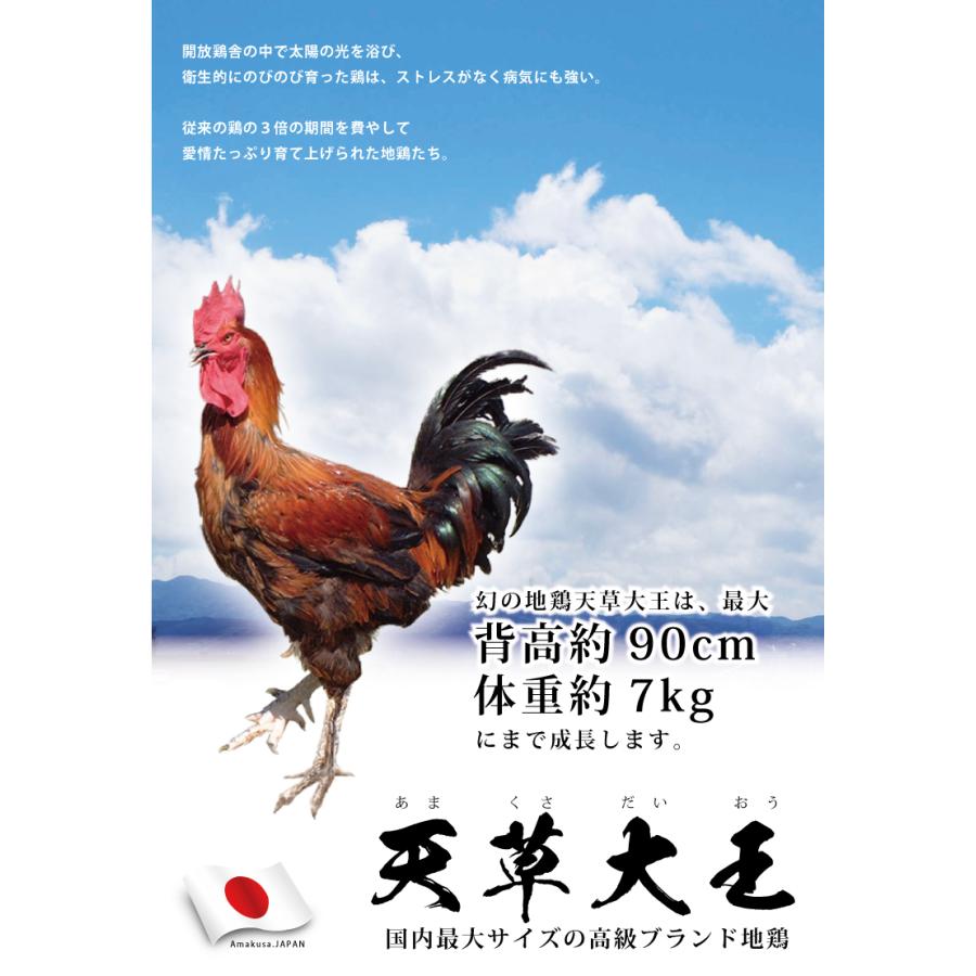 鶏肉ささみ 天草大王　ササミ2本単品　80g以上（個体により異なります）