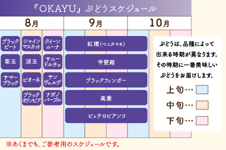 ＜全3回定期便＞特選 ぶどうセットL（8月・9月・10月）1.7kg以上（各月3～4房）／ 葡萄 ナガノパープル シャインマスカット ゴールデン シャイン 品種 おまかせ あわら 農家おすすめ ※2024年8月より順次発送