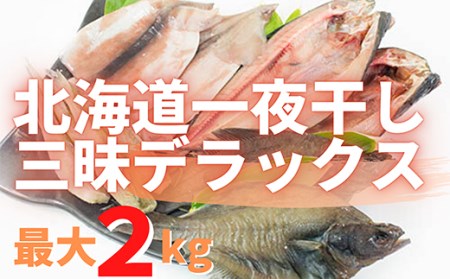 北海道一夜干し三昧デラックス 最大2kg 計10尾 訳あり 一夜干し 事業者支援 中国禁輸措置