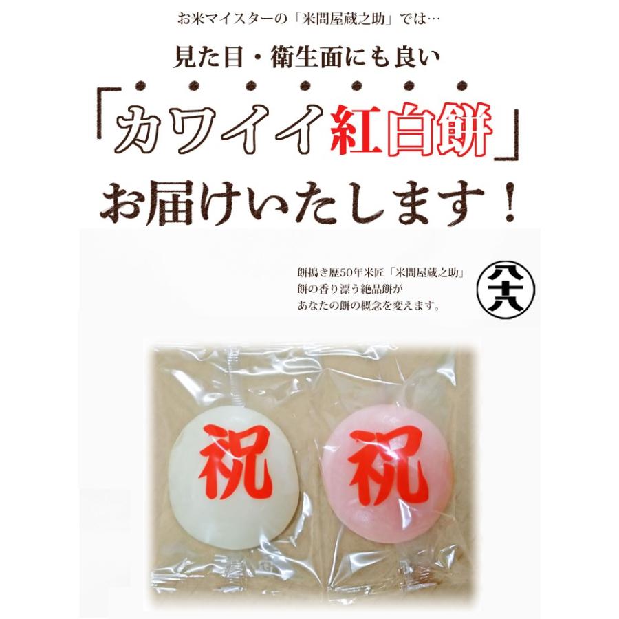 紅白餅 投げ餅 餅まき 餅投げ 上棟式 棟上げ 杵つき 約4kg 送料無料