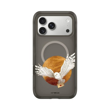 iPhone 17 Pro Max AirX 本質黑 - 哈利波特 Harry Potter - 嘿美Hedwig