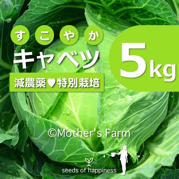 キャベツ 農薬90％カット 特別栽培