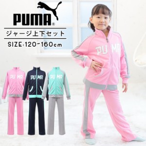 プーマ Puma ガールズ ジャージ上下セット ジャージ 上下 子供 キッズ ジュニア 女の子 1cm 130cm 140cm 150cm 160cm 通販 Lineポイント最大1 0 Get Lineショッピング