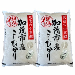 令和5年度産 新米 新潟県 加茂産 特別栽培米 こしひかり 4kg  送料無料 のし対応不可