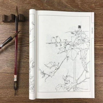 中國畫線描花鳥畫譜線描白描底稿技法工筆劃花鳥翎毛白描畫譜