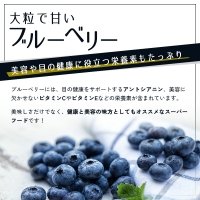  冷凍ブルーベリー500g×2パック（合計1kg）