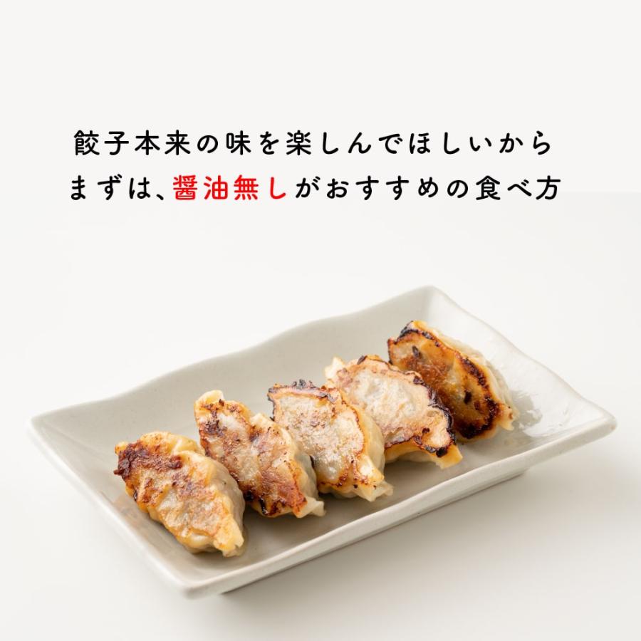  静岡の人気店「しるし」の肉汁餃子（翌日発送）送料無料 冷凍便 冷凍餃子 餃子 ぎょうざ グルメ 食品 惣菜 ヘルシー＆スマイル