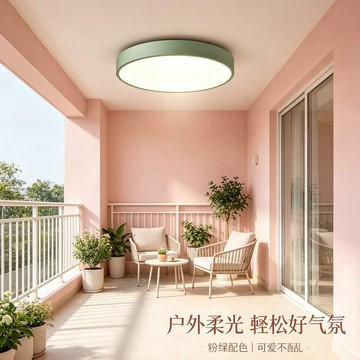 12W 單色吸頂燈 L01-1989B