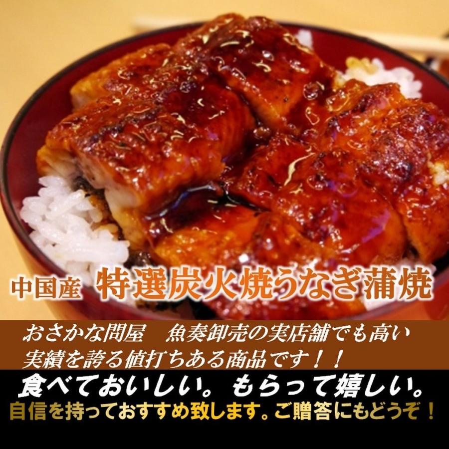 うなぎ長焼 大サイズ 炭火焼 200g×5尾 ウナギ 鰻 蒲焼 メガ盛り 真空パック 土用 丑の日 化粧箱 在宅 父の日 敬老 在宅応援 お歳暮 ギフト