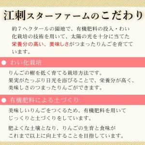 ふるさと納税  こだわり栽培の はるか 厳選品 3kg 岩手県奥州市産りんご 産地直送 [AY002] 岩手県奥州市