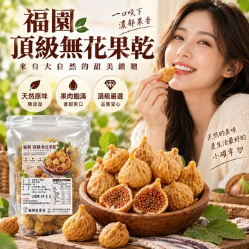 福園 頂級無花果乾 無花果乾 土耳其無花果乾 天然無花果乾 無花果