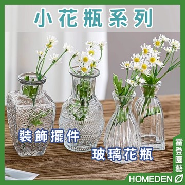 【隔日到貨】小花瓶系列 復古花瓶 透明花瓶 玻璃瓶 小口徑花瓶 小口花瓶 迷小花瓶 園藝用品【HOMEDEN霍登園藝】