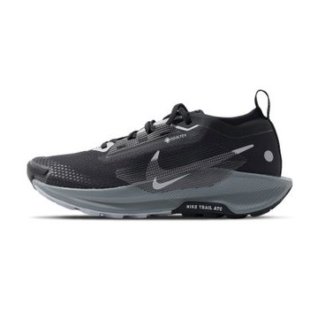 Nike W Pegasus Trail 5 GTX 女鞋 黑灰色 小飛馬 防潑水 運動 慢跑鞋 FQ0912-001