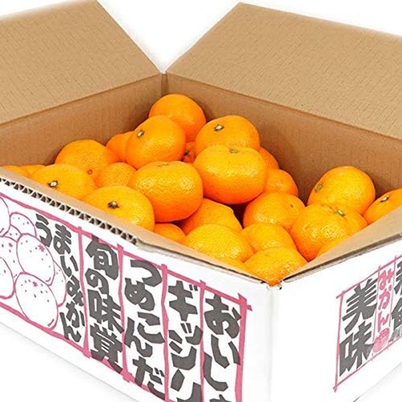 国産 温州みかん 5kg(共選 秀品) 柑橘類 みかん ミカン 蜜柑 果物 フルーツ お取り寄せ