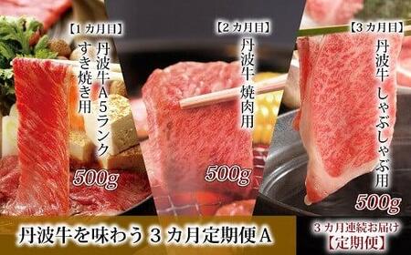 定期便Ａ( 丹波牛定期便 食べ比べ定期便 牛肉定期便 焼肉 すき焼き しゃぶしゃぶ 定期便 ブロック 肉 A5 ランク 牛 冷凍 定期便 京都 京丹波町 定期便