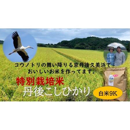 ふるさと納税 白米９K×６か月　京丹後久美浜産　特別栽培米こしひかり 京都府京丹後市