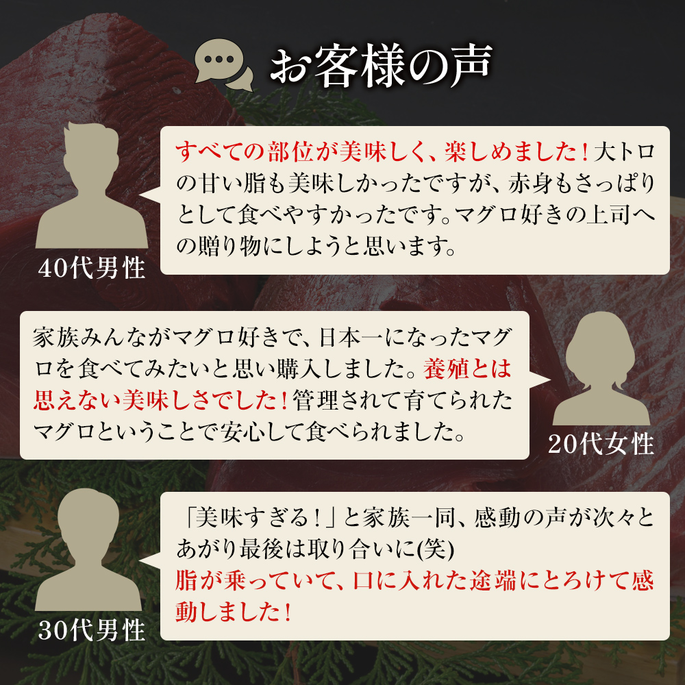 日本一黒潮本まぐろ　3種盛り合わせ　大トロ150ｇ、中トロ150ｇ、赤身150ｇ