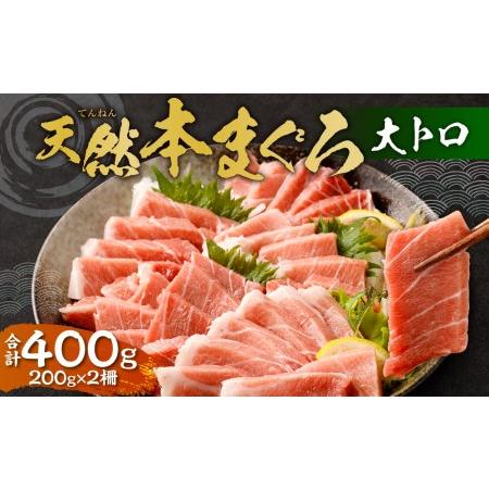 ふるさと納税 極上！たね熟天然本まぐろ大トロ(400g) 大阪府高槻市