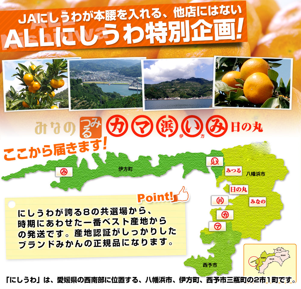 愛媛県より産地直送 JAにしうわ 西宇和みかん LからSサイズ 5キロ (約40から60玉) 送料無料 ミカン 蜜柑