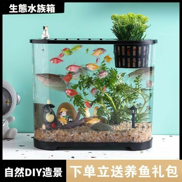 【高清透】桌上型水族箱 魚植共生 生態缸 鬥魚缸 魚缸 水族箱 小魚缸 透明魚缸 迷你水族箱 微型生態觀賞魚缸 懶人魚缸
