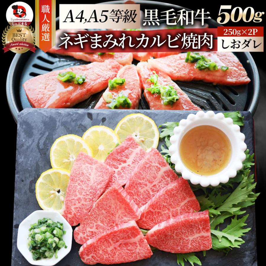 A4,A5等級 特選 黒毛和牛 カルビ焼肉 500g  ねぎまみれ 旨塩ダレ（ A4 〜 A5等級 ）牛肉 肉 お歳暮 ギフト 食品 お祝い  霜降り 贅沢 黒毛 和牛