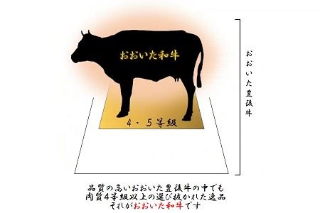 おおいた和牛 ランプステーキ (計400g・ランプステーキ約100ｇ×4枚 ステーキソース20g×4袋) 国産 牛肉 肉 霜降り 低温熟成 ステーキ A4 和牛 ブランド牛 BBQ 冷凍 大分県 佐伯市