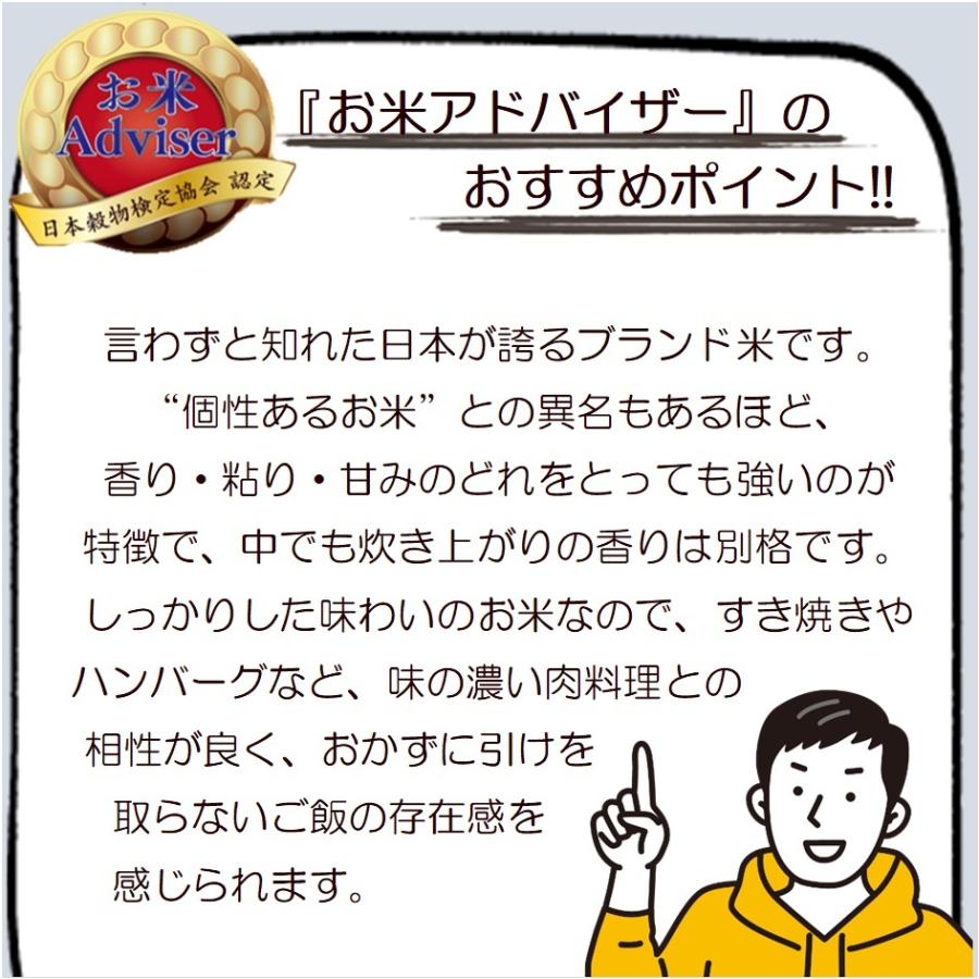 魚沼産こしひかり  新潟県産 コシヒカリ 5kg 旨い米