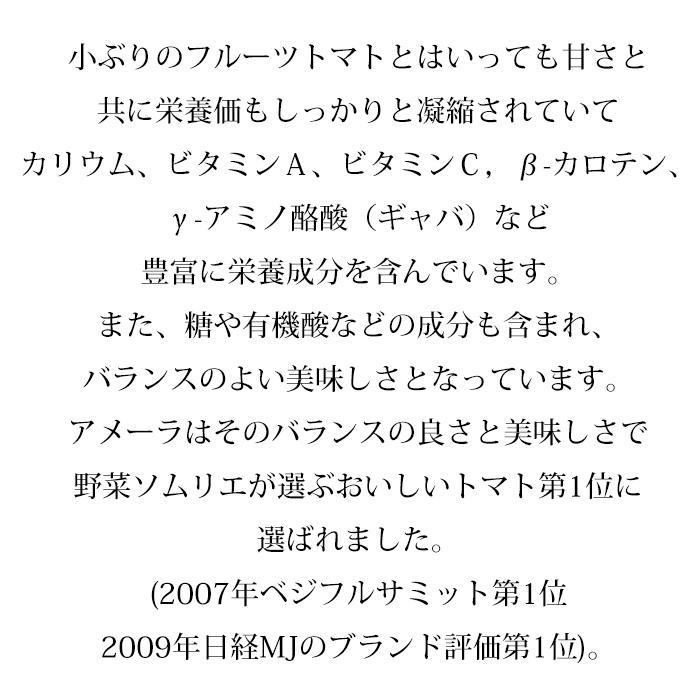 トマト 長野県産 静岡県産 高糖度フルーツトマト アメーラ 秀品 約1kg 2S〜Mサイズ 12〜20個