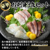 勇進水産　お刺身豪華3点セット約900g_yushin-969