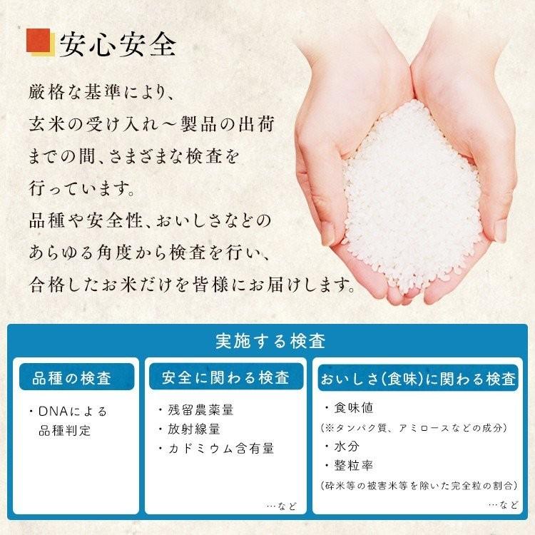 お米 無洗米 5kg ななつぼし 5kg お米 5kg 米 北海道県産 送料無料 白米 ごはん 一等米 うるち米 低温製法米 アイリスオーヤマ