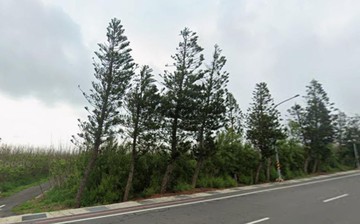 澎湖白沙海生館近吉貝都外美農地一級棒I｜澎湖縣白沙鄉岐頭