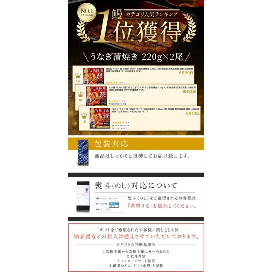 お歳暮 ギフト うなぎ 国産 うなぎ蒲焼き 鰻 鹿児島県産 無投薬 約200g×2尾 化粧箱 ウナギ 長焼き プレゼント 誕生日 お祝い