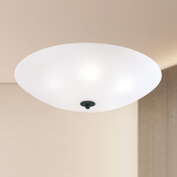 E27X5X3 玻璃造型吸頂燈 F37-21-92787、92788