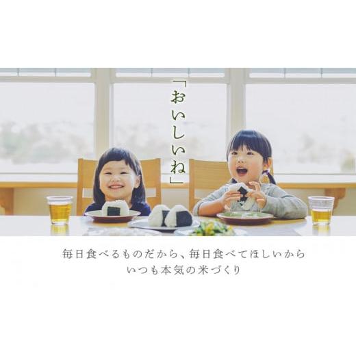 ふるさと納税 北海道 知内町 ゆきさやか 米 一合 150g× 2袋 国産 北海道 北海道米 知内 帰山農園