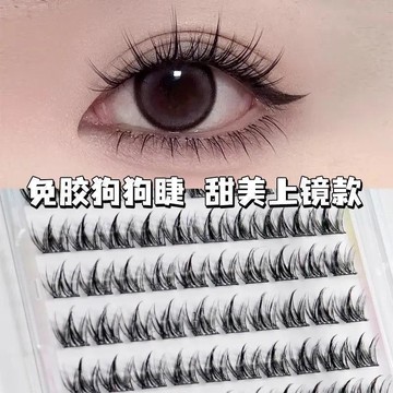 臺灣出🔥免膠 犬系 假睫毛 大容量 狗狗 芭比分段 自然 仿真 新手 濃密 無需膠水 超軟