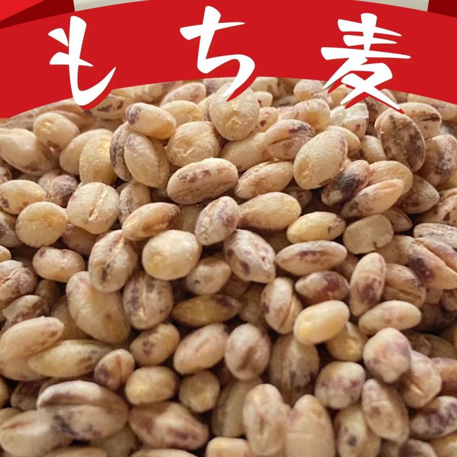 国内産雑穀お試しセット(発芽玄米、胚芽押麦、もち麦) 各100g