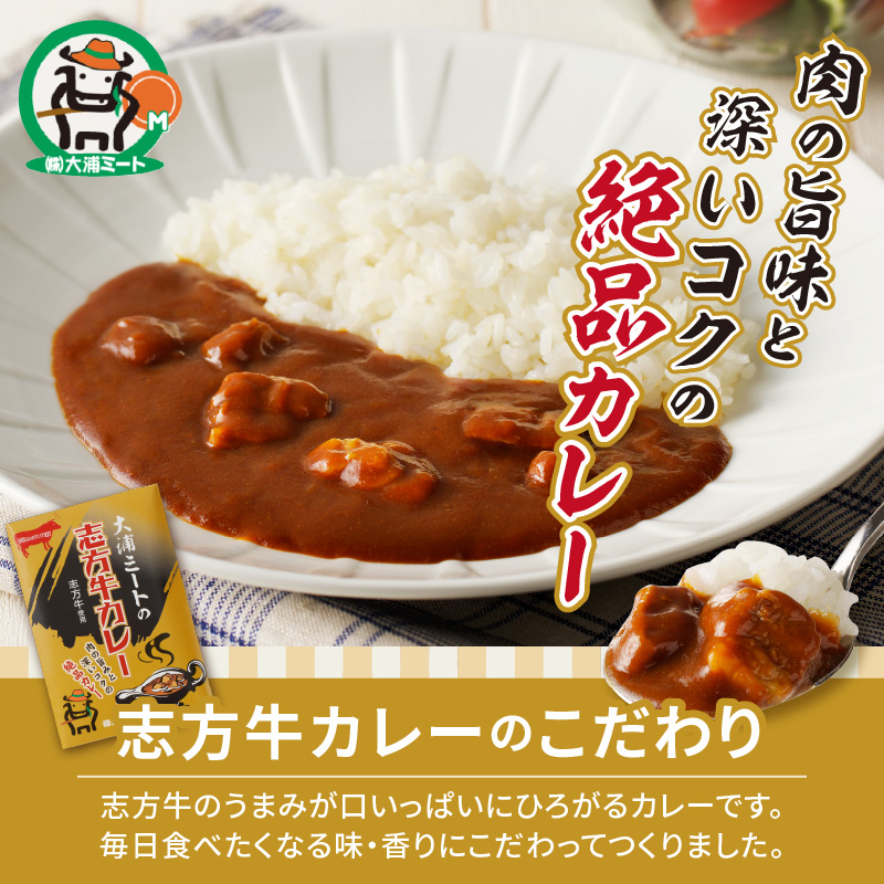 大浦ミートの志方牛カレー　5個セット