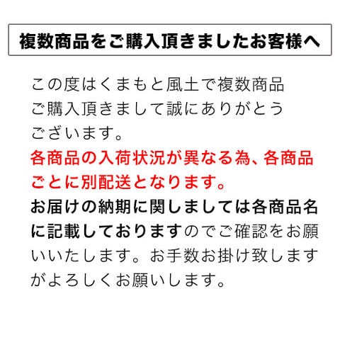 熊本 ラーメン くまもと らーめん 6食セット 送料無料 こだわりの生麺と本格液体とんこつスープ！ 生麺 液体スープ 中太麺 とんこつ 豚骨 取り寄せ 《3-7営業日以内に出荷予定(土日祝日除く)》