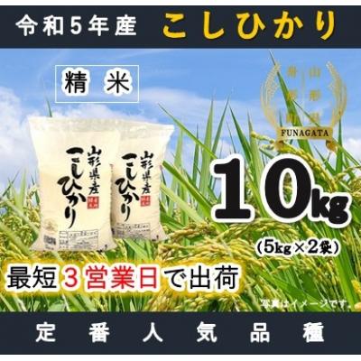 ふるさと納税 舟形町 コシヒカリ10kg(5kg×2)　令和5年産